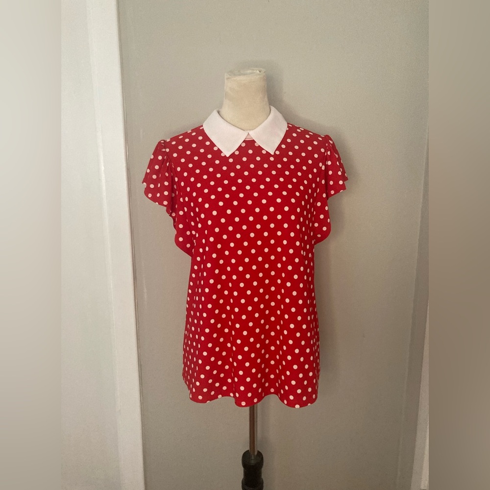 Faith and Joy Red Blouse